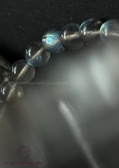 Браслет з лабрадором