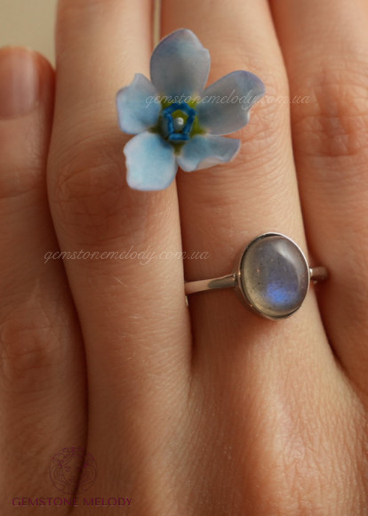 Каблучка з лабрадором